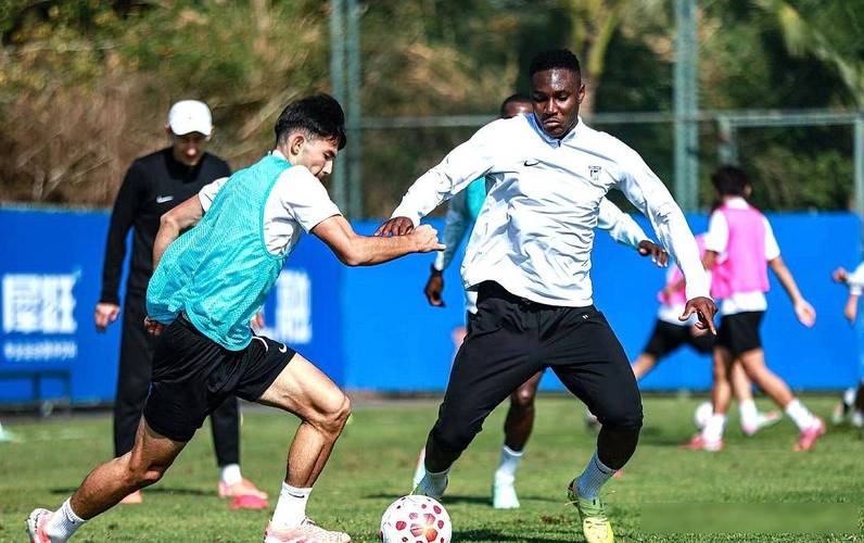 斯坦丘让大连保级无忧，上限看第5外援，马莱莱还不进球夏窗难留