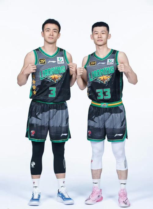 辽宁男篮14分完胜，赵继伟12+6+9王岚嵚22分，莫兰德14+22+9