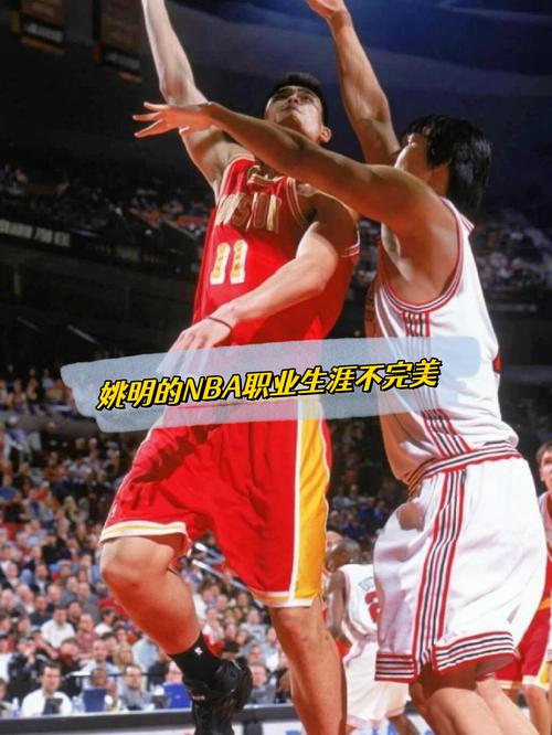 为何说姚明的成就不会太高呢