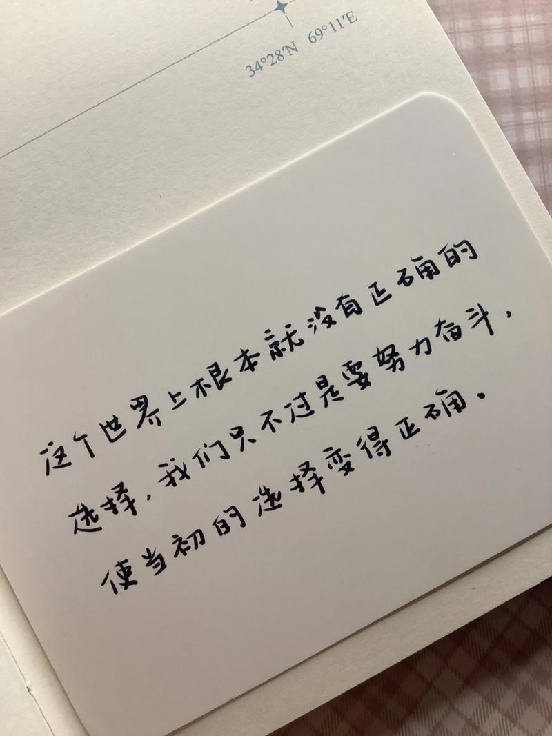 努诺谈及与切尔西的较量，认为本该赢得胜利，对于托迪博被罚下的情形感到困惑_英超直播