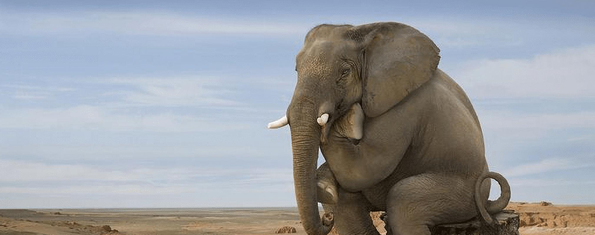 罗马诺：安塞尔米诺不可能回多特白堡是租借他的最大热门