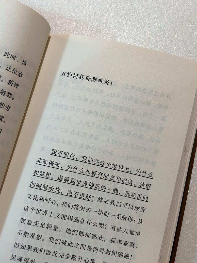 勒诺尔芒：希望巴里奥斯没事今天的结果是一个沉重的打击