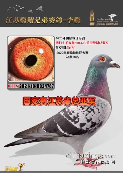 没有被扣分战国七雄！能拿到今年的联赛冠军吗