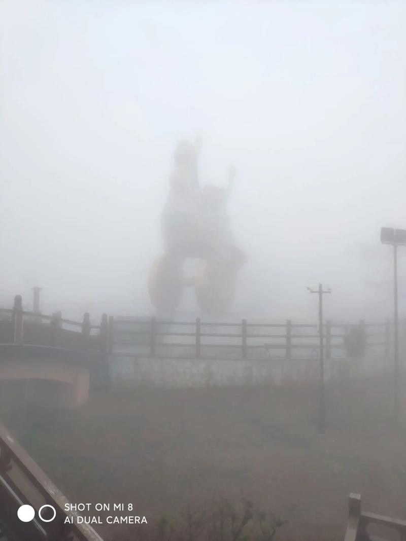 图片报：由于慕尼黑出现大雾天气，拜仁去汉堡的行程严重延误